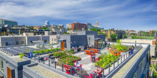 Decibel Apartments Gallery 12
