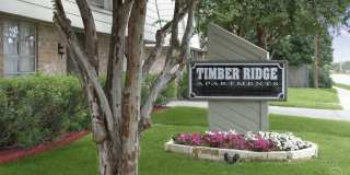 4018 Holly Dr - 08 Gallery 12