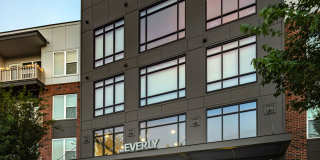 The Everly Gallery 10