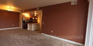 2445 Windrow Drive, A208 Gallery 4