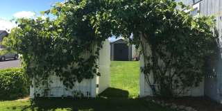 Private Backyard, Covered Patio & Room To Settle In! Gallery 15