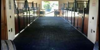 2583 Appaloosa Trail Gallery 6