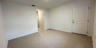 339 PUMA LOOP Gallery 22