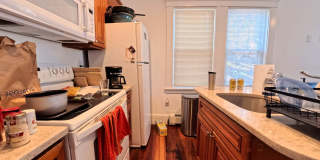436 Waverley Oaks Road - 1B 436 Waverley Oaks Road - 1B Gallery 2
