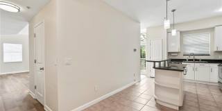 3405 W SWANN AVENUE Gallery 10