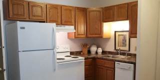 Springtree Gallery 5