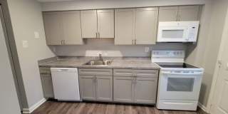 Village of Carrollwood Village of Carrollwood Gallery 19