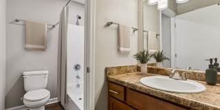 Ashford Place Gallery 5