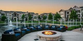 Aliso Briar Forest Gallery 3