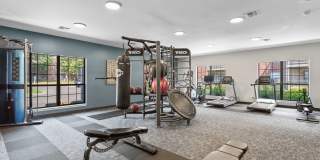 The Addison at Southfield Gallery 21