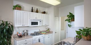Del Mar Apartments Gallery 6