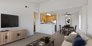 Sycamore Village Gallery 1