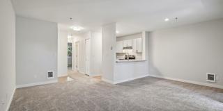 Miramonte Lodge Gallery 17