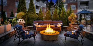 Lake Clearwater Gallery 49