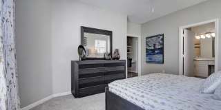 Somerset at Spring Creek Gallery 10