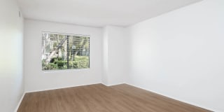 Montierra Gallery 10