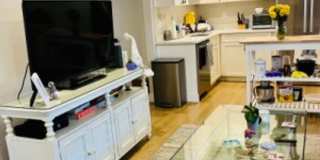 4 bed 2 bath - ALLSTON - 9/1 Gallery 7