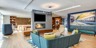 Velo Forest Hills Gallery 2