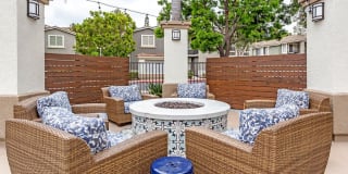 Sofi Westview Gallery 21