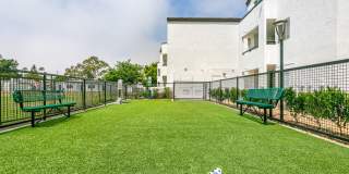 Newport Palms Apartments Gallery 30