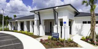 The Dahlia Gallery 26