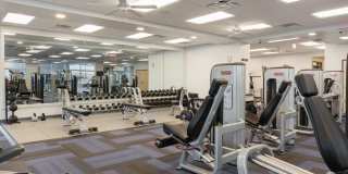 Harborview at the Navy Yard Gallery 8