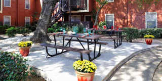 Lakeshire Place Gallery 8