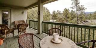 1513 Spruce Canyon Drive Gallery 6