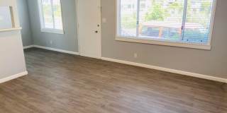 Gorgeous Remodeled Downstairs Apartment w/Patio+Prvt Laundry+Garage+Views of Canals Gallery 4
