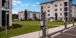 Arcadia 331 Gallery 47