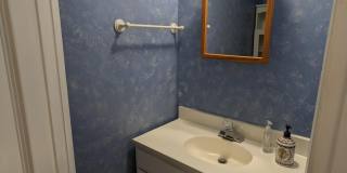 2996 PADDOCK WOOD Court Gallery 25