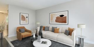 Lexington Village Gallery 1