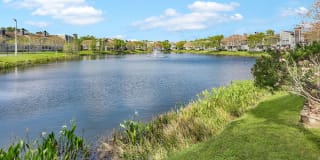 Fairways at Feather Sound Gallery 13