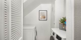 115 Fallingstar Gallery 6