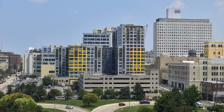 The Hamilton Gallery 36