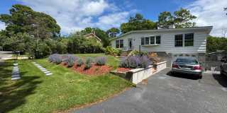16 Fern Rd Gallery 1