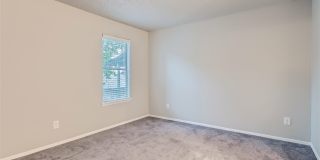 Rise Fossil Creek Gallery 107