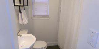 Furnished unit Gallery 12