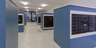 The Collection Gallery 25