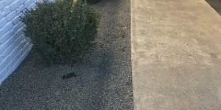 211-219 S Whipple Rd Gallery 22