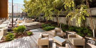 Terra House Gallery 25