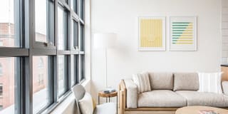 230 Ash Gallery 4
