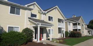 Island Club Gallery 25