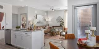 Alta Surprise Gallery 25