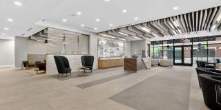 RISE Doro Gallery 23