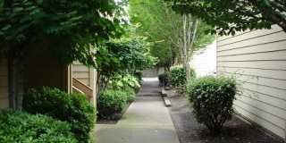 Brightwaters at Redhawk Gallery 52