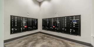 Cedar Flats Gallery 16