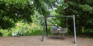 Windsor at Midtown Gallery 53