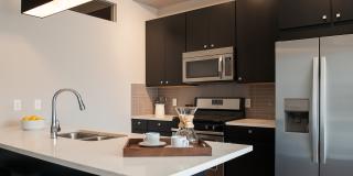 Edition Residences Gallery 9