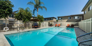 Parthenia Terrace Apartments Gallery 11